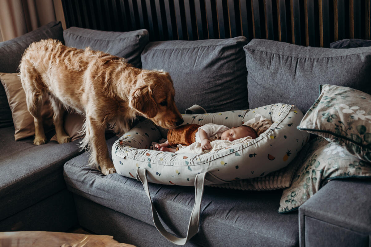 11. Sesja noworodkowa Tychy, Katowice