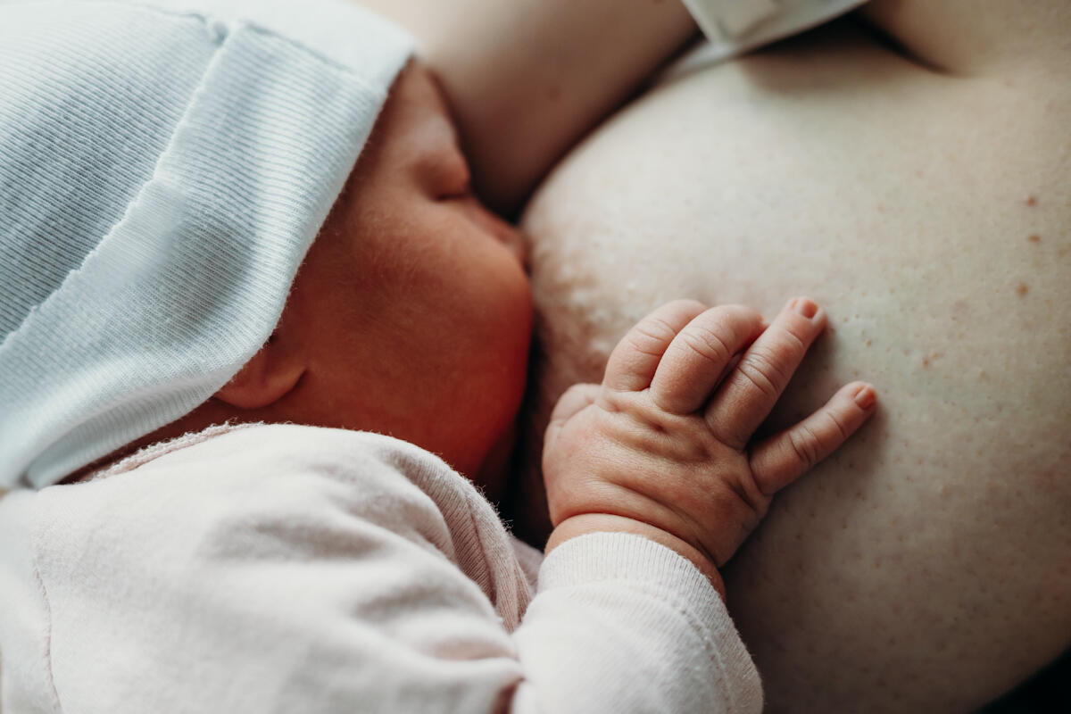 31. Sesja karmienia piersią, sesja noworodkowa 31. Sesja karmienia piersią, sesja noworodkowa